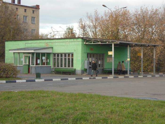 Справочная автовокзала Старая Купавна